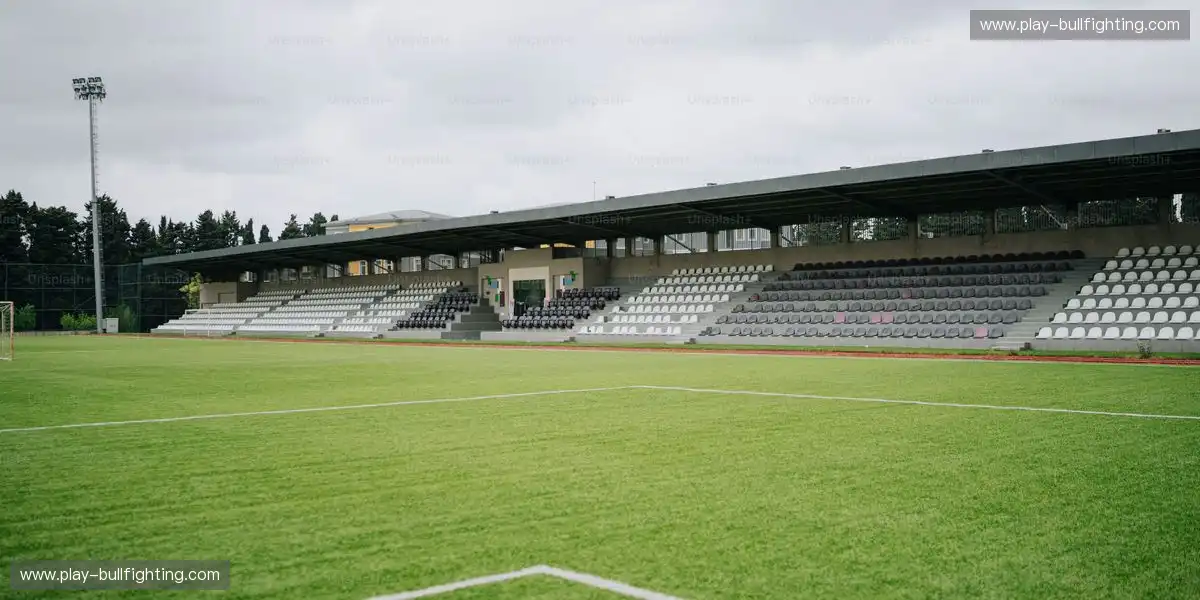 内容统一结构减少多余步骤